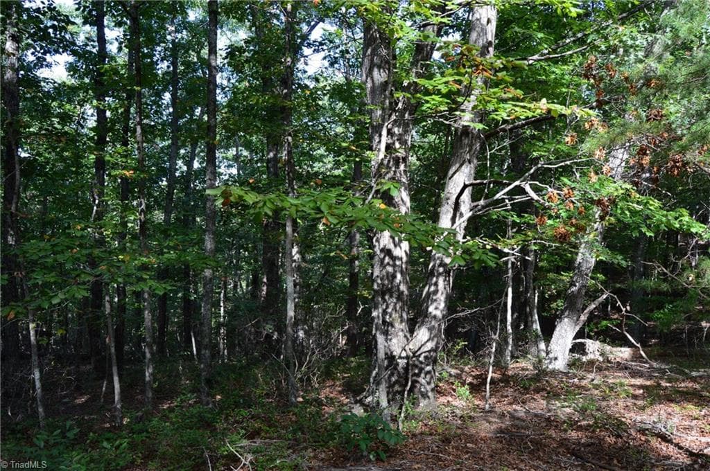 Remarks at Tract D Hanging Rock Forest Road # D, Danbury NC 27016, photo 5 of 24