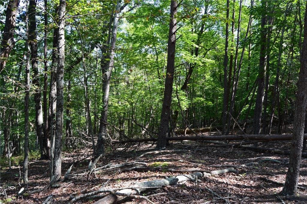 Remarks at Tract D Hanging Rock Forest Road # D, Danbury NC 27016, photo 10 of 24
