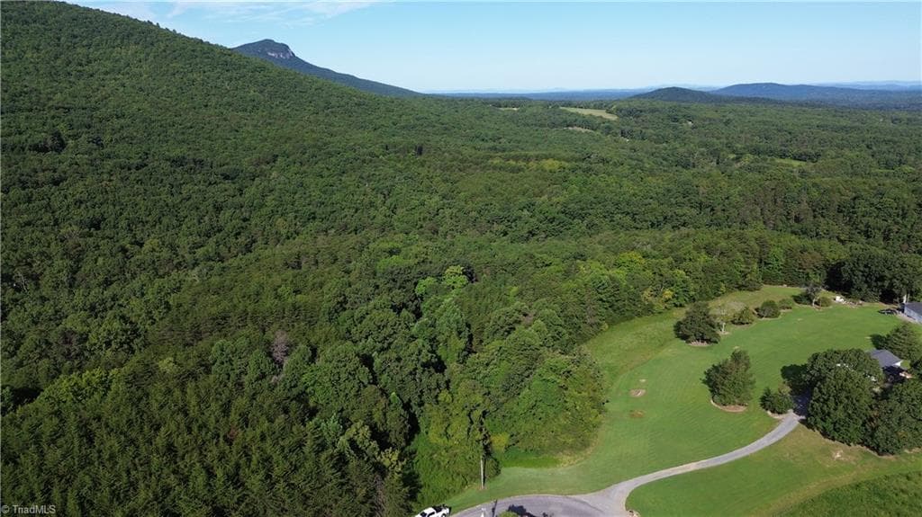 Remarks at Tract D Hanging Rock Forest Road # D, Danbury NC 27016, photo 14 of 24