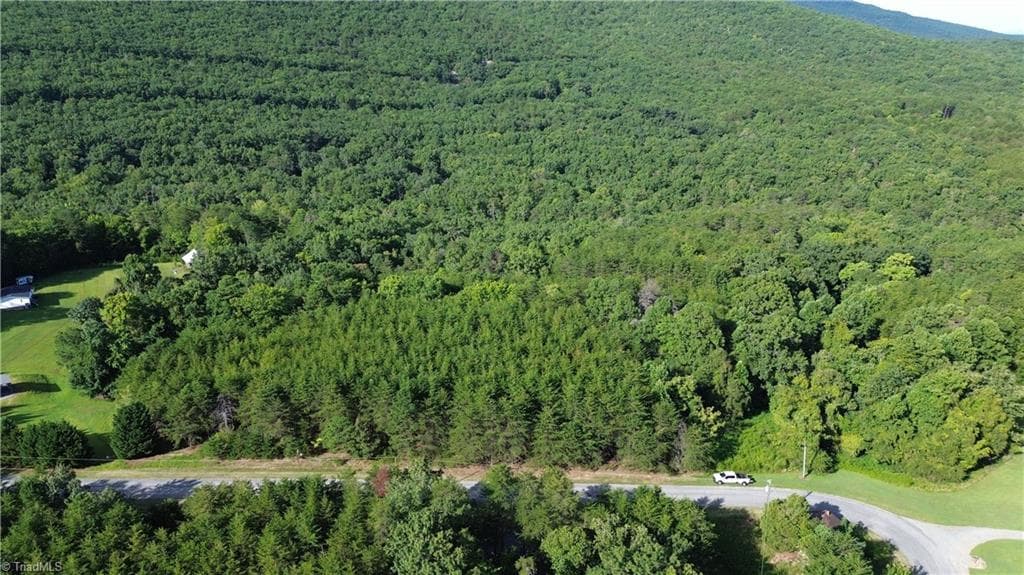Remarks at Tract D Hanging Rock Forest Road # D, Danbury NC 27016, photo 15 of 24