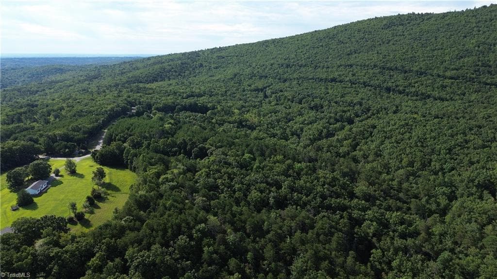Remarks at Tract D Hanging Rock Forest Road # D, Danbury NC 27016, photo 19 of 24