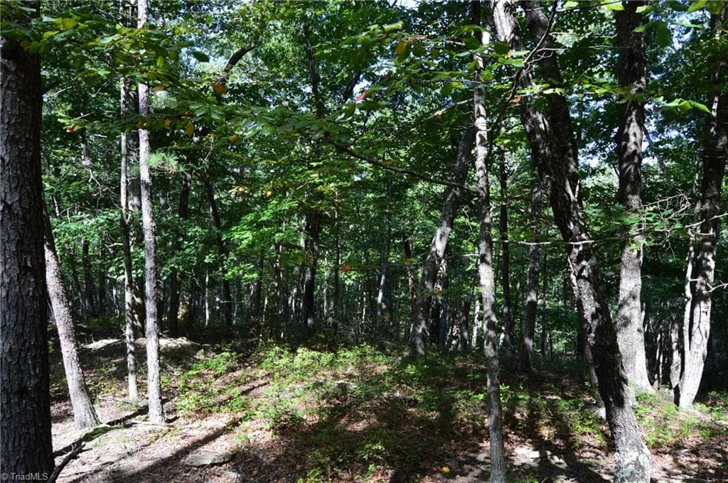 Remarks at Tract D Hanging Rock Forest Road # D, Danbury NC 27016, photo 4 of 24