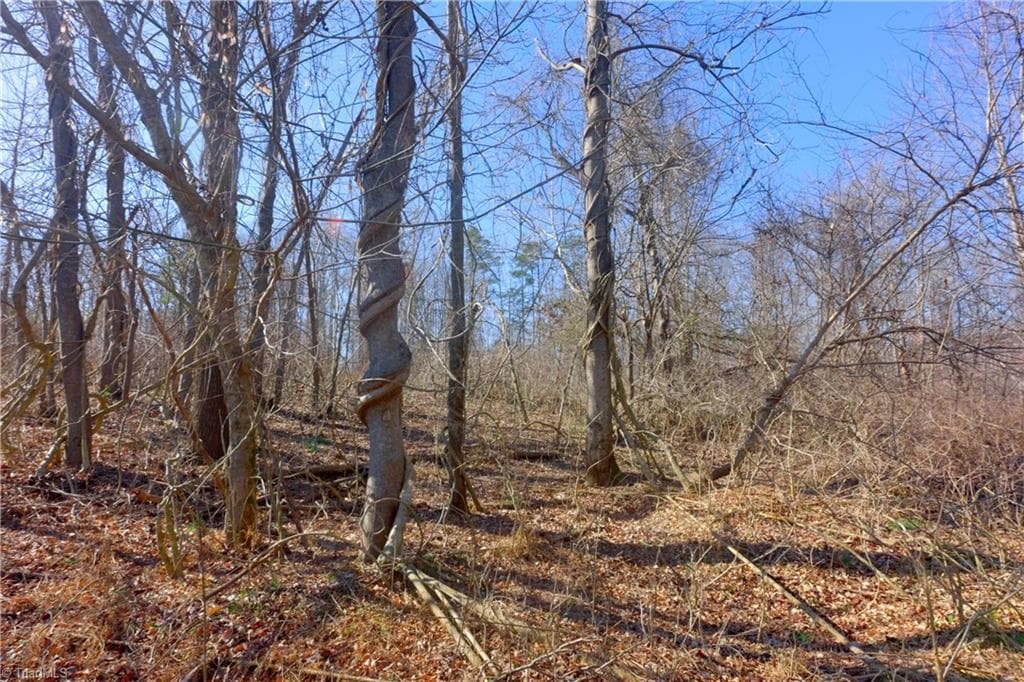 Unimproved Land at 5 Roby Fulk Road, Pinnacle NC 27043, photo 13 of 28