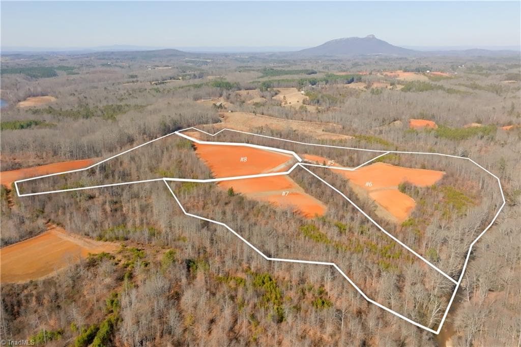 Unimproved Land at 5 Roby Fulk Road, Pinnacle NC 27043, photo 16 of 28