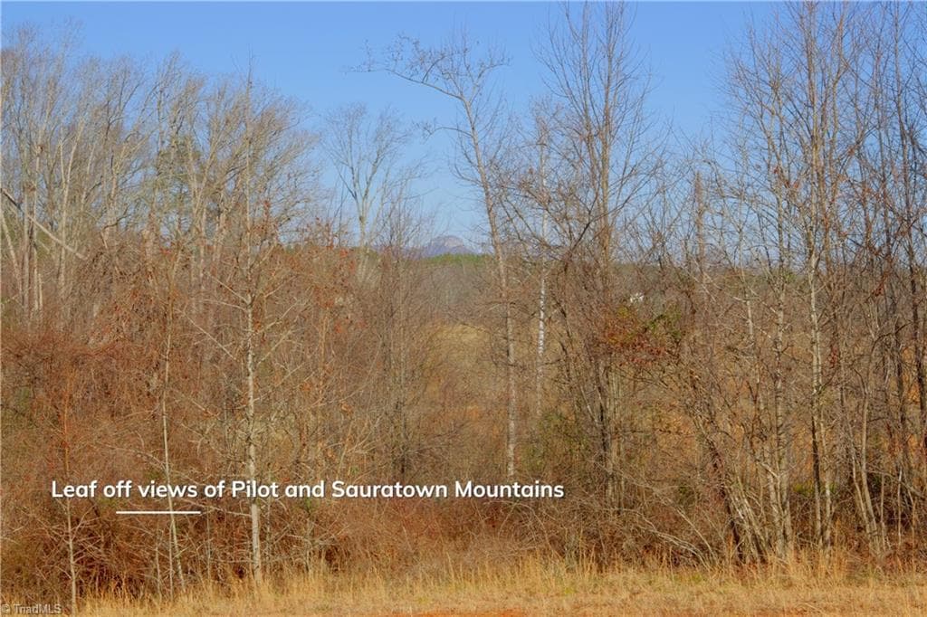 Unimproved Land at 5 Roby Fulk Road, Pinnacle NC 27043, photo 12 of 28