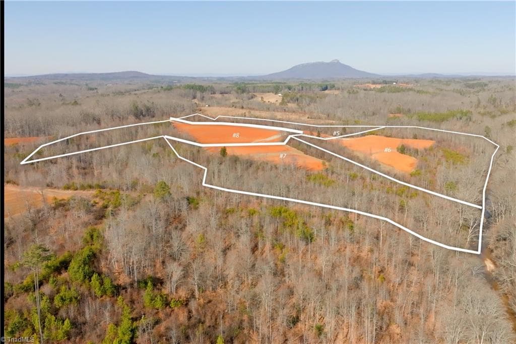 Unimproved Land at 5 Roby Fulk Road, Pinnacle NC 27043, photo 22 of 28