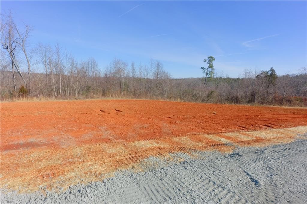 Unimproved Land at 5 Roby Fulk Road, Pinnacle NC 27043, photo 7 of 28