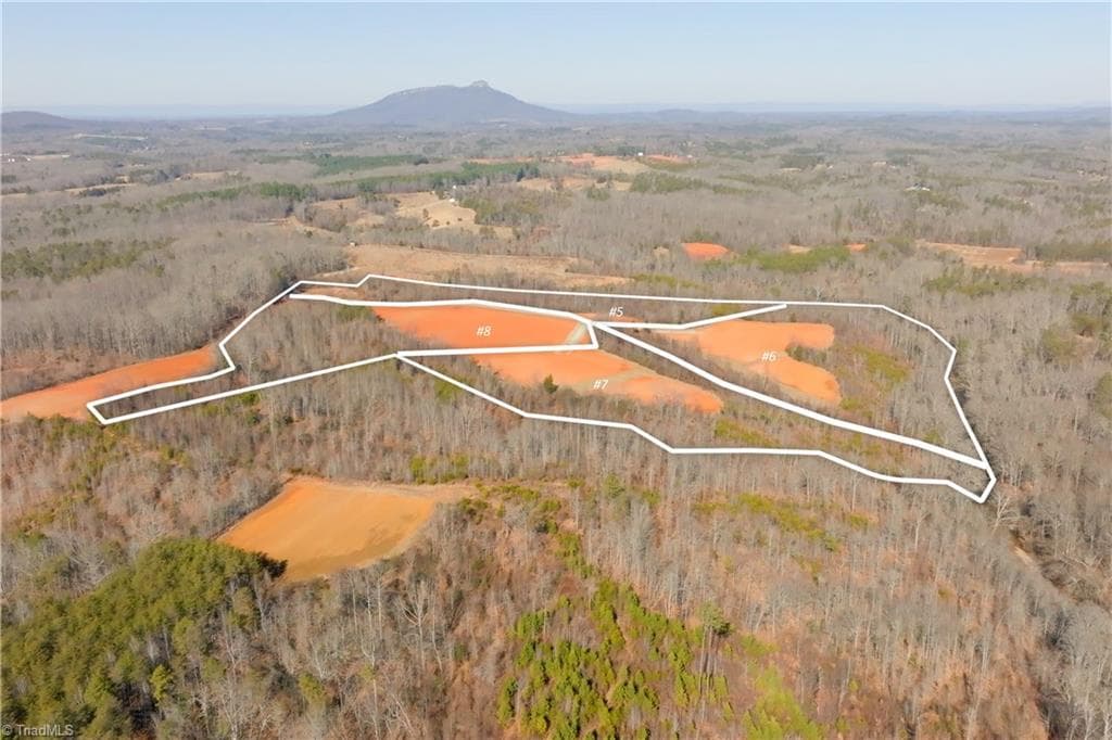 Unimproved Land at 5 Roby Fulk Road, Pinnacle NC 27043, photo 20 of 28