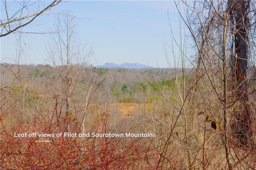 Unimproved Land at 5 Roby Fulk Road, Pinnacle NC 27043, photo 10 of 28