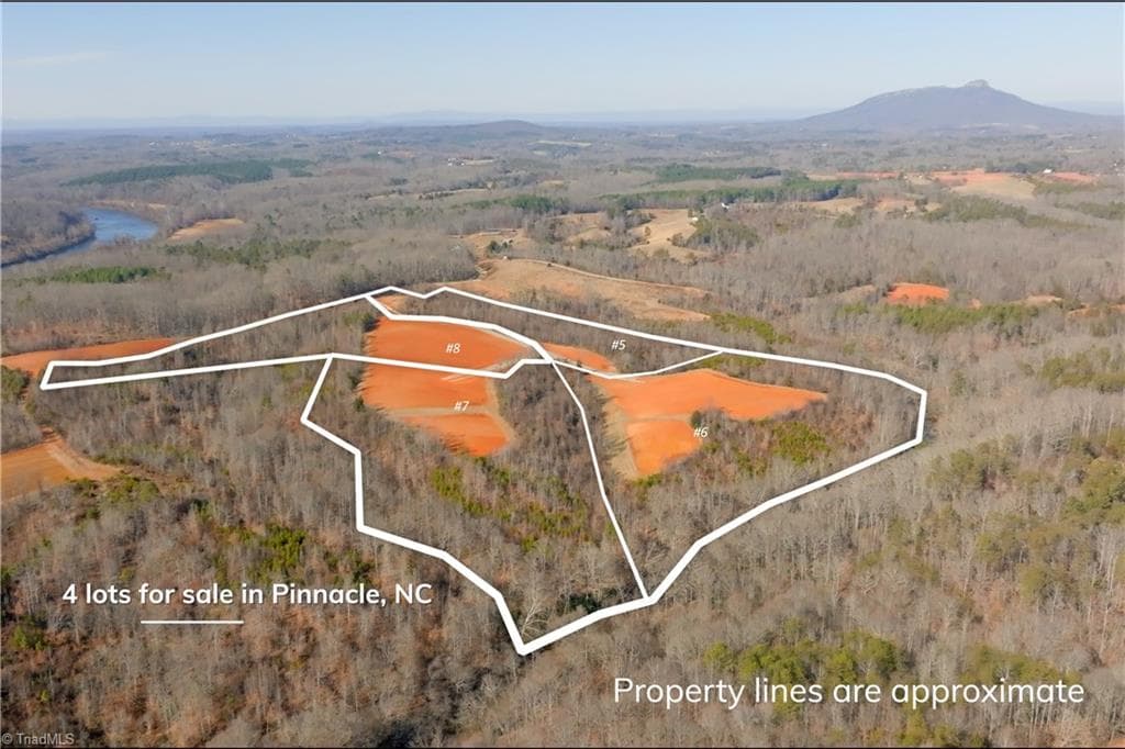 Unimproved Land at 5 Roby Fulk Road, Pinnacle NC 27043, photo 15 of 28