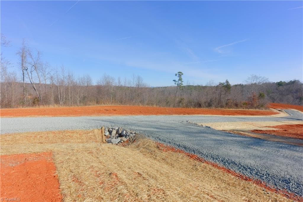 Unimproved Land at 5 Roby Fulk Road, Pinnacle NC 27043, photo 11 of 28