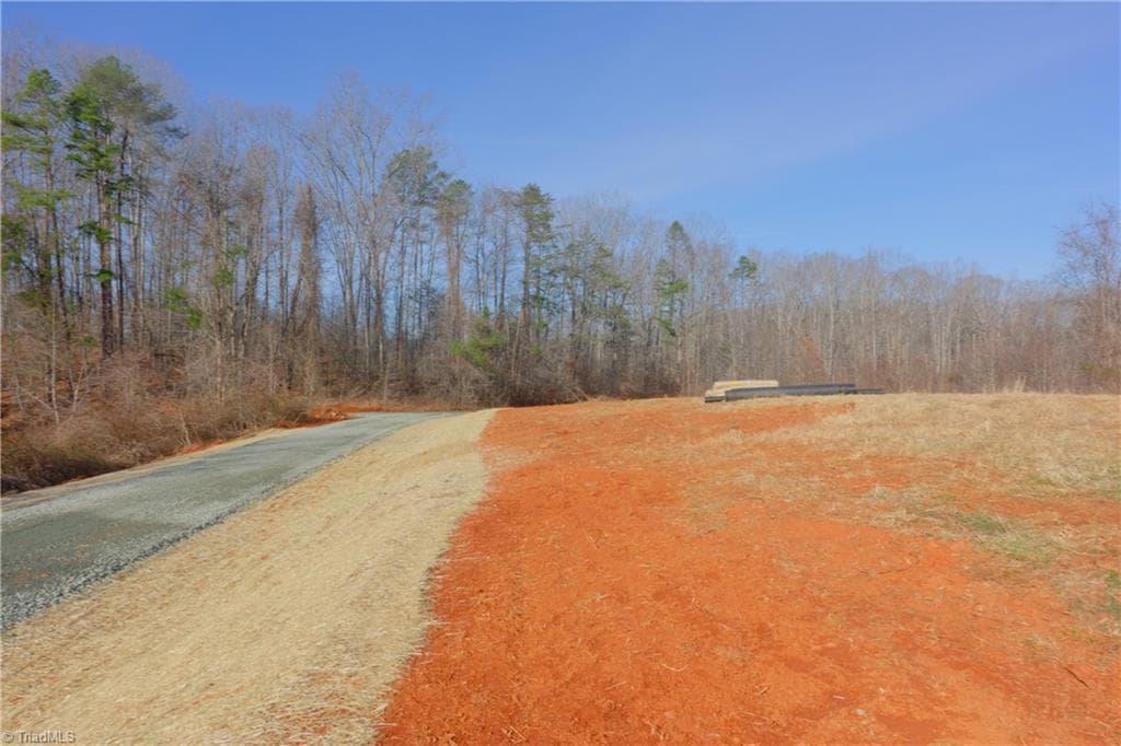 Unimproved Land at 5 Roby Fulk Road, Pinnacle NC 27043, photo 4 of 28