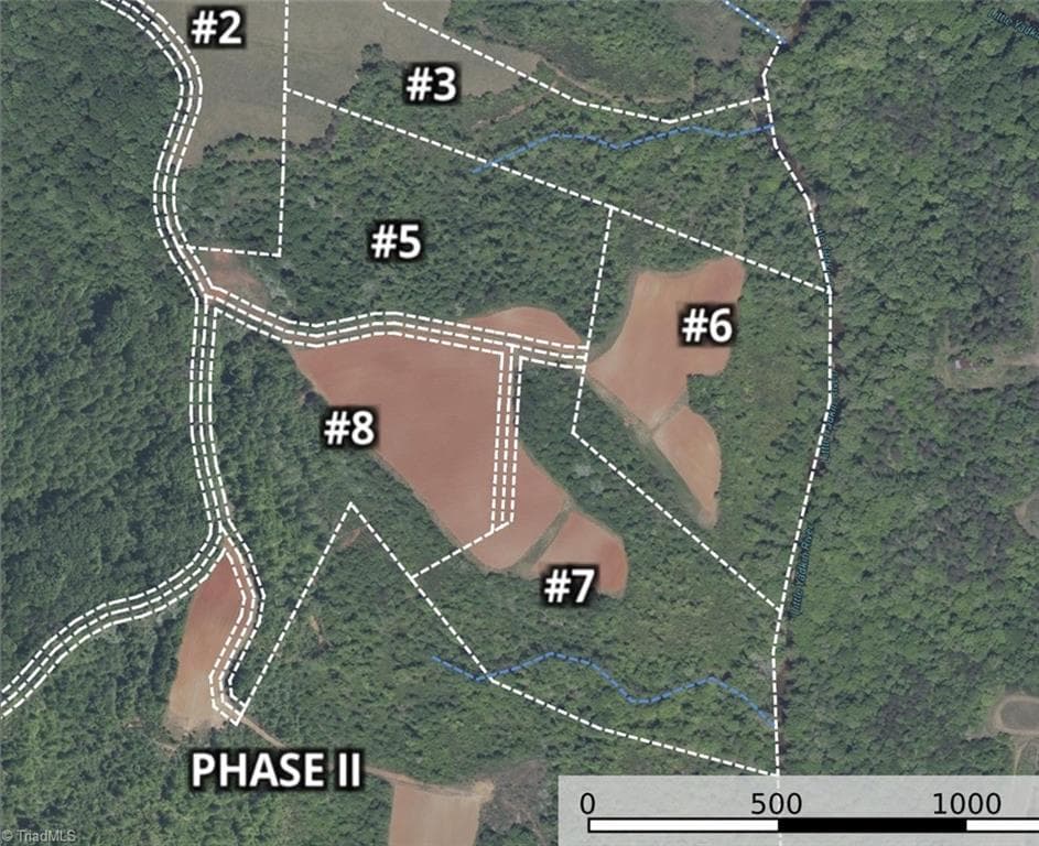 Unimproved Land at 5 Roby Fulk Road, Pinnacle NC 27043, photo 25 of 28