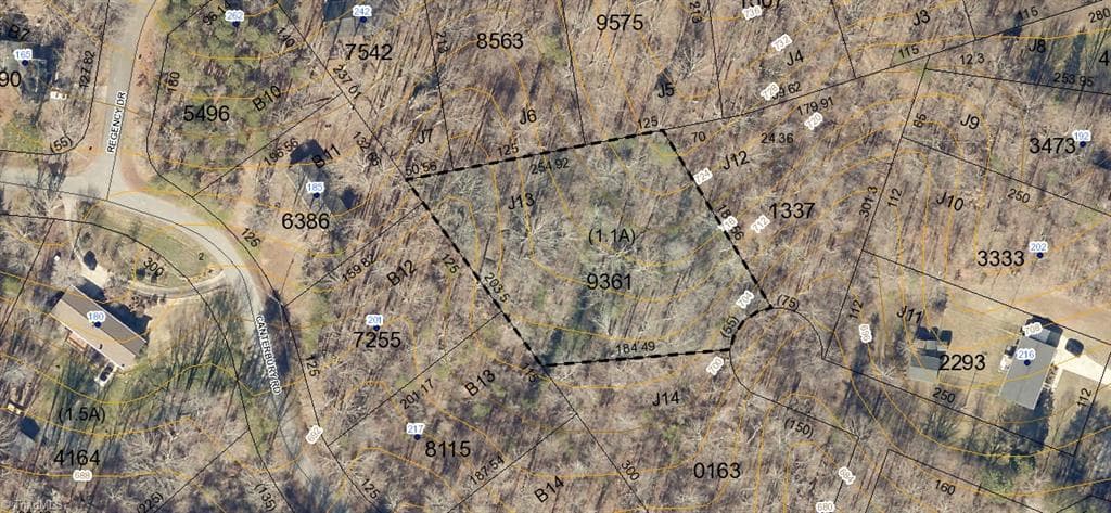Unimproved Land at 271 Canterbury Road, Reidsville NC 27320, photo 7 of 12
