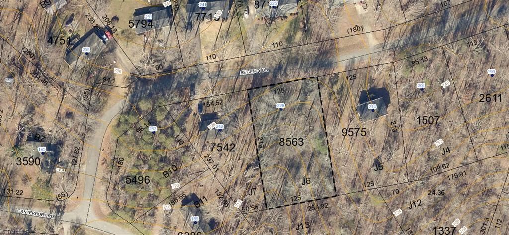 Unimproved Land at 271 Canterbury Road, Reidsville NC 27320, photo 10 of 12