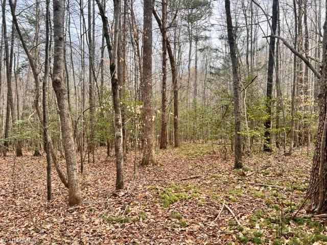 Unimproved Land at 5591 Mount Lebanon Road, Asheboro NC 27205, photo 9 of 9