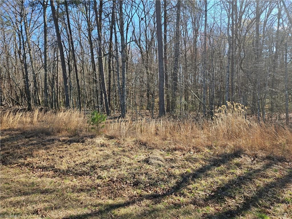 Unimproved Land at 00 Locust Grove Road # 3, Westfield NC 27030, photo 6 of 10
