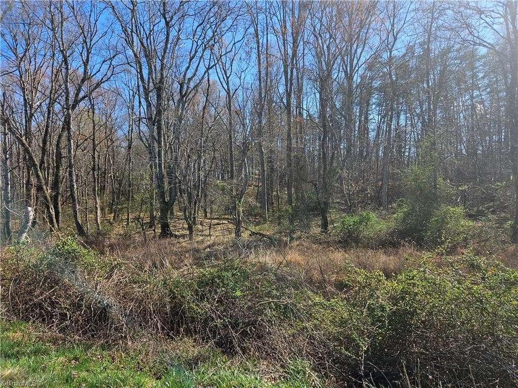 Unimproved Land at 00 Locust Grove Road # 3, Westfield NC 27030, photo 7 of 10