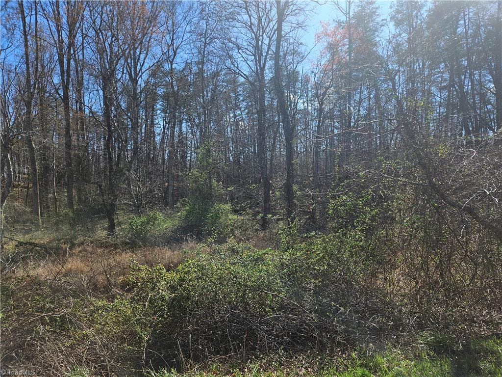 Unimproved Land at 00 Locust Grove Road # 3, Westfield NC 27030, photo 5 of 10