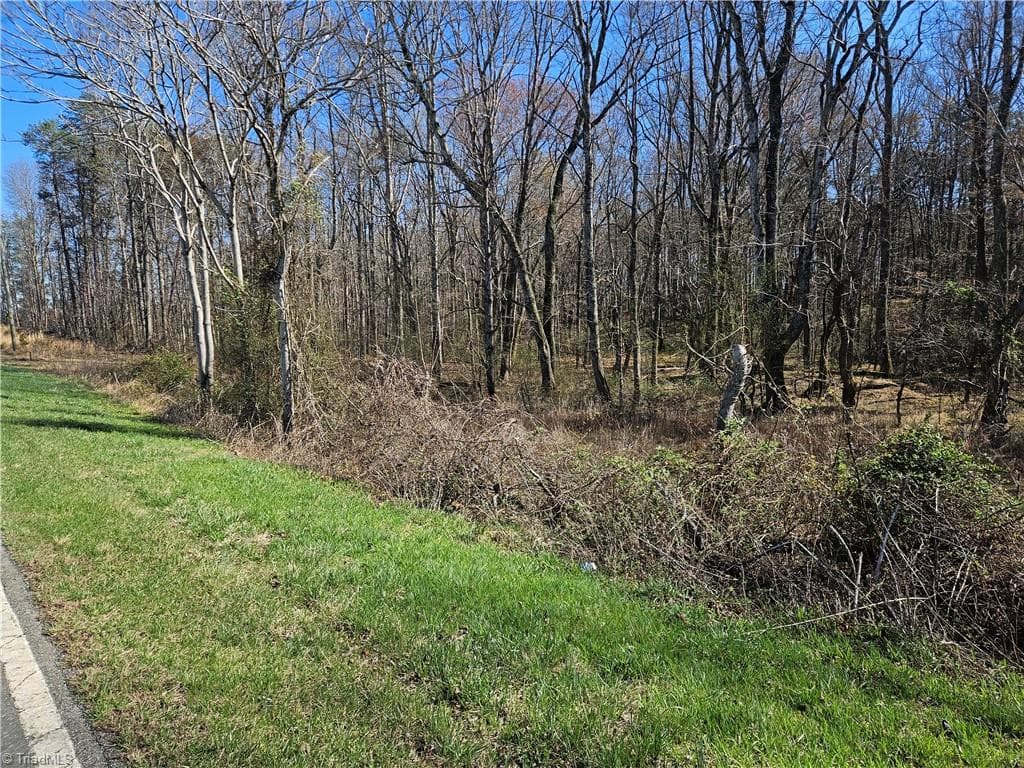Unimproved Land at 00 Locust Grove Road # 3, Westfield NC 27030, photo 9 of 10