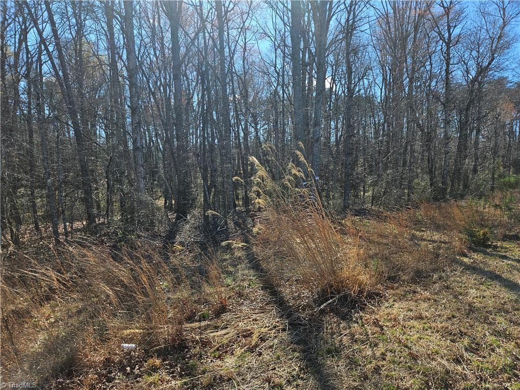 Unimproved Land at 00 Locust Grove Road # 3, Westfield NC 27030, photo 4 of 10