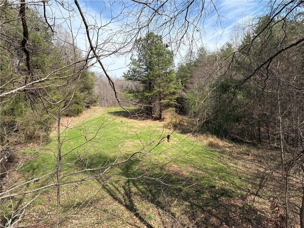 Single Family Residence at 0 Doll Branch Road, Milton NC 27305, photo 17 of 39