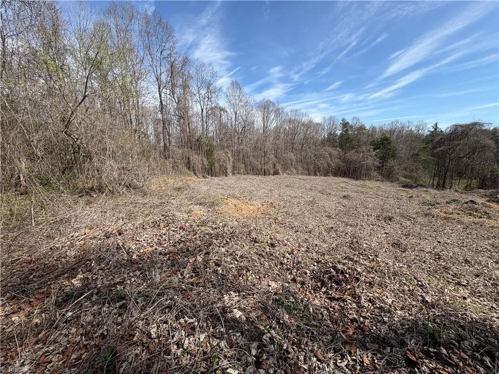 Single Family Residence at 0 Doll Branch Road, Milton NC 27305, photo 12 of 39