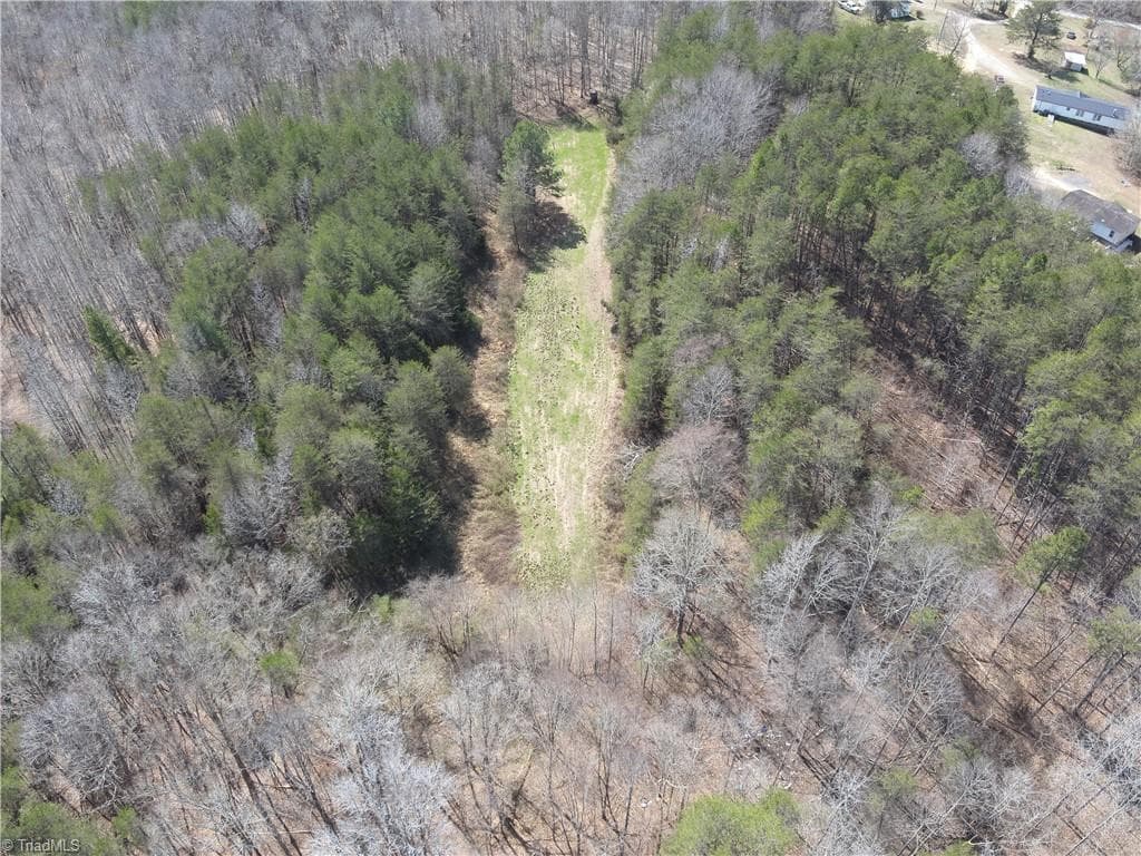 Single Family Residence at 0 Doll Branch Road, Milton NC 27305, photo 9 of 39