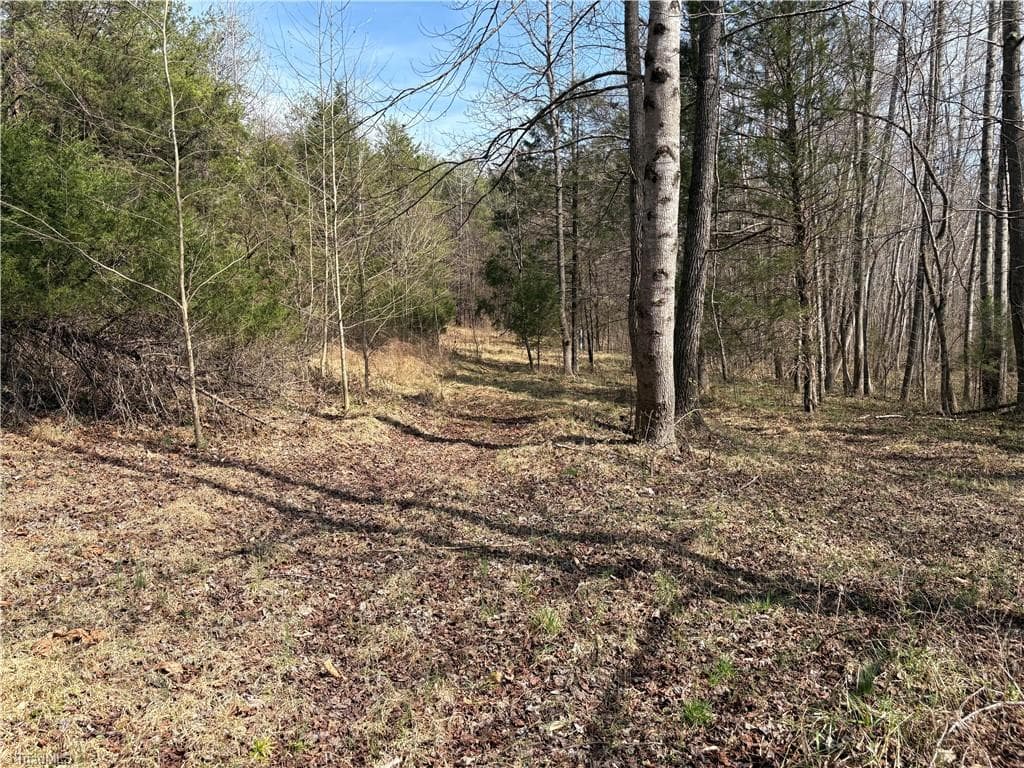 Single Family Residence at 0 Doll Branch Road, Milton NC 27305, photo 24 of 39
