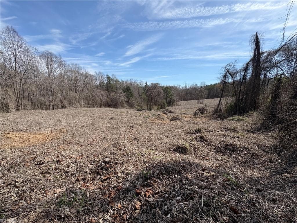 Single Family Residence at 0 Doll Branch Road, Milton NC 27305, photo 11 of 39