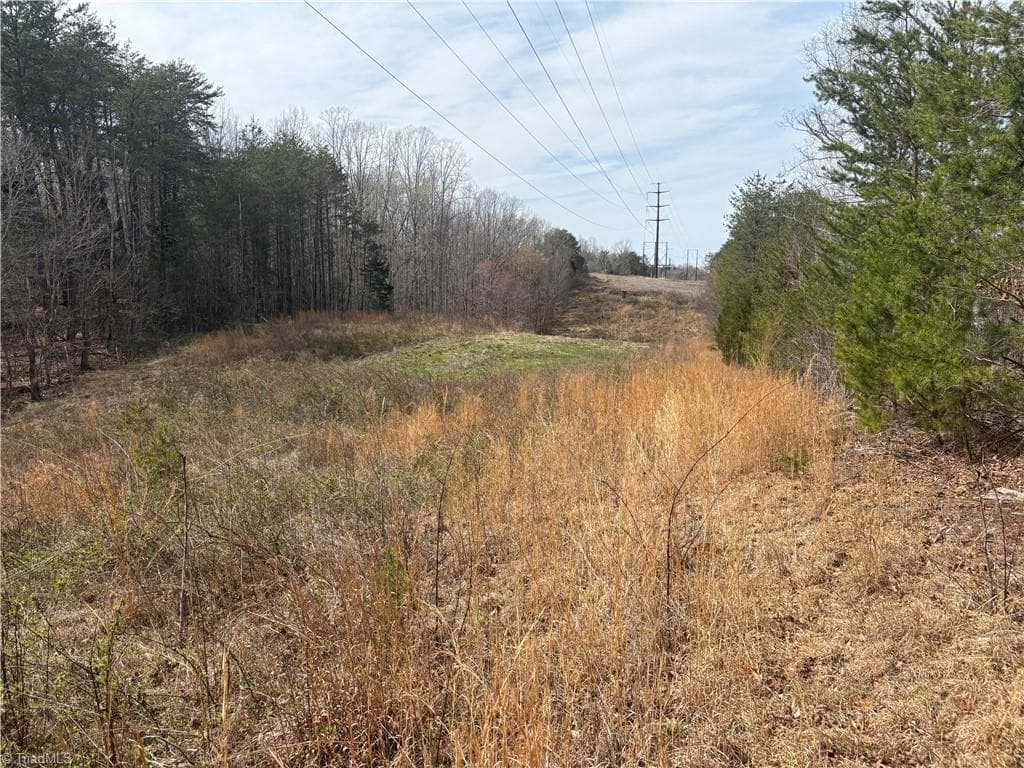 Single Family Residence at 0 Doll Branch Road, Milton NC 27305, photo 35 of 39