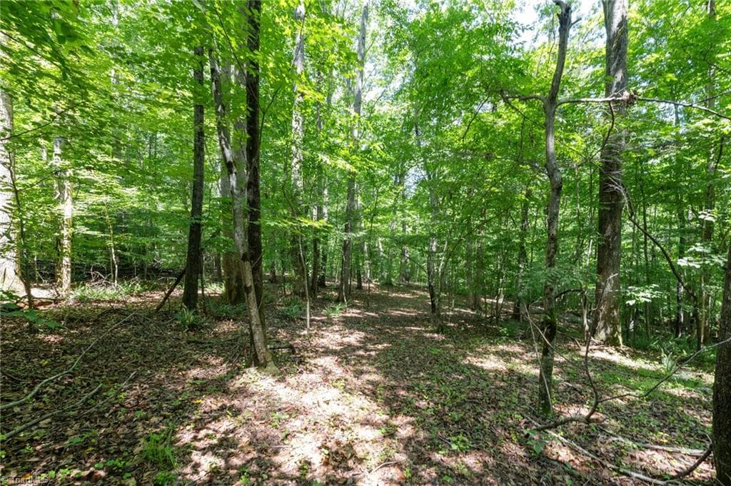 Single Family Residence at 6910 Long Meadow Lane, Whitsett NC 27377, photo 5 of 13