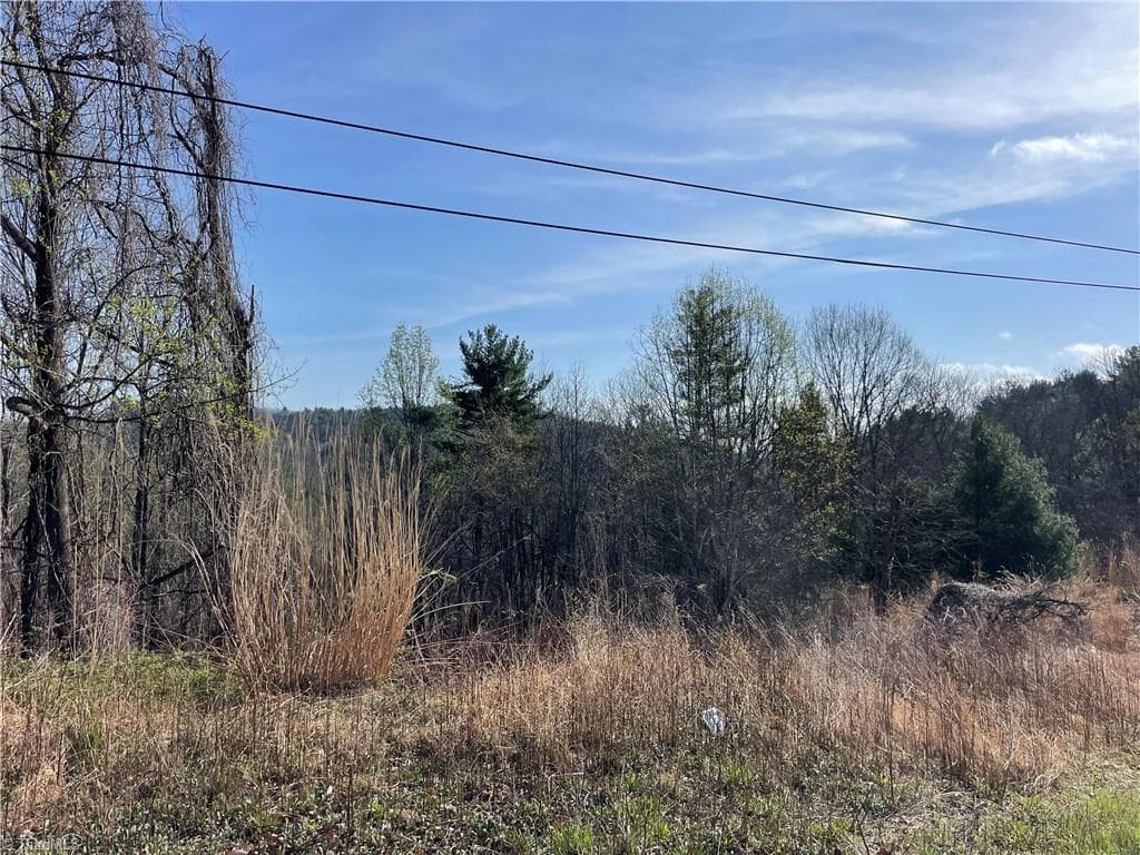 Unimproved Land at 1 Valley Drive, Jonesville NC 28642, Jonesville, photo 3 of 13
