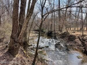 Unimproved Land at 1 Valley Drive, Jonesville NC 28642, Jonesville, photo 10 of 13