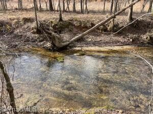 Unimproved Land at 1 Valley Drive, Jonesville NC 28642, Jonesville, photo 11 of 13