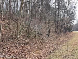 Unimproved Land at 1 Valley Drive, Jonesville NC 28642, Jonesville, photo 4 of 13