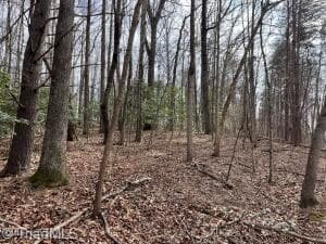 Unimproved Land at 1 Valley Drive, Jonesville NC 28642, Jonesville, photo 8 of 13