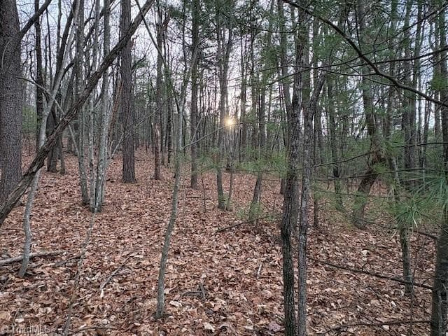 TBD Sutters Ridge Road, McGrady NC 28649