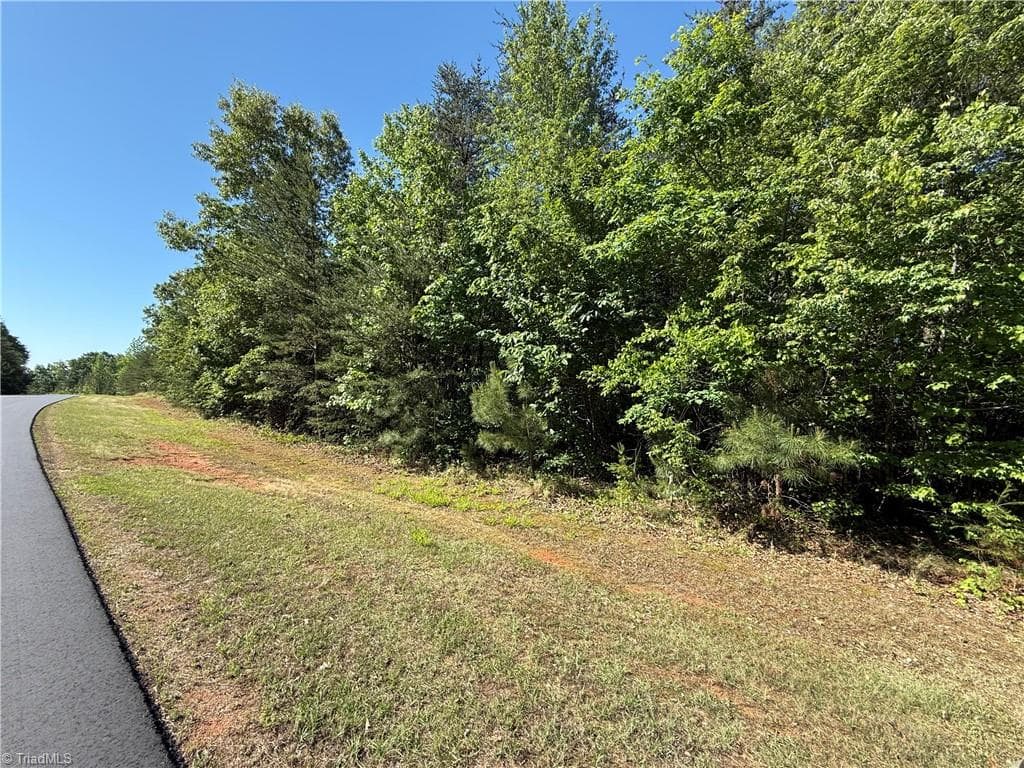 Single Family Residence at 173 Lake View Pass, Rockingham NC 28379, photo 6 of 14