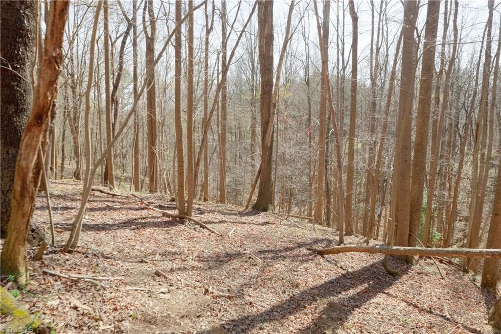 Unimproved Land at 0 Seven Island Road, Danbury NC 27016, photo 17 of 43