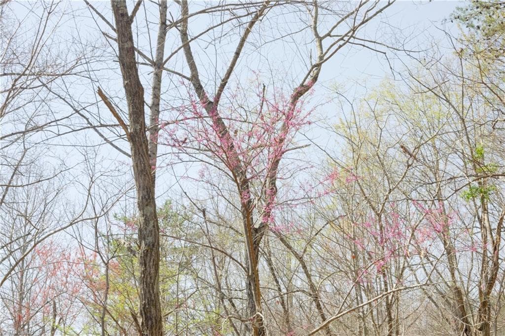 Unimproved Land at 0 Seven Island Road, Danbury NC 27016, photo 12 of 43