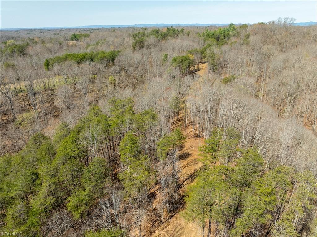Unimproved Land at 0 Seven Island Road, Danbury NC 27016, photo 24 of 43