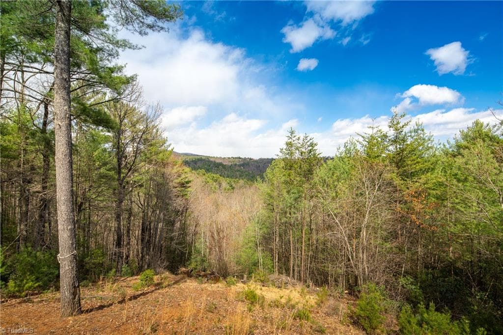 Stick/Site Built at 128 Deer Antler Drive, Purlear NC 28665, Purlear, photo 13 of 50
