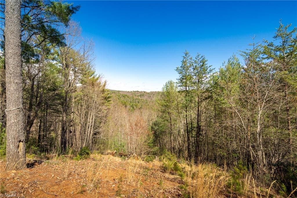 Stick/Site Built at 128 Deer Antler Drive, Purlear NC 28665, Purlear, photo 37 of 50