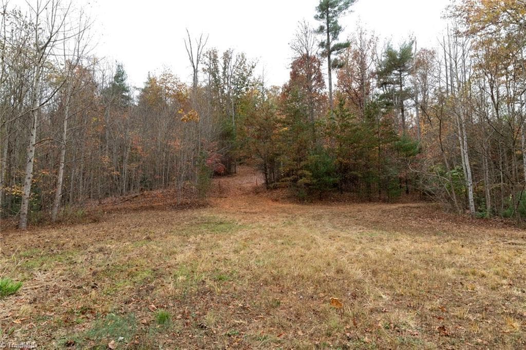 Unimproved Land at 0 TBD US Highway 421, Ferguson NC 28624, photo 23 of 42