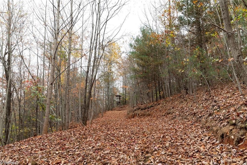 Unimproved Land at 0 TBD US Highway 421, Ferguson NC 28624, photo 27 of 42