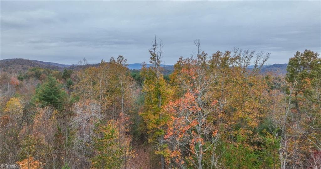 Unimproved Land at 0 TBD US Highway 421, Ferguson NC 28624, photo 2 of 42