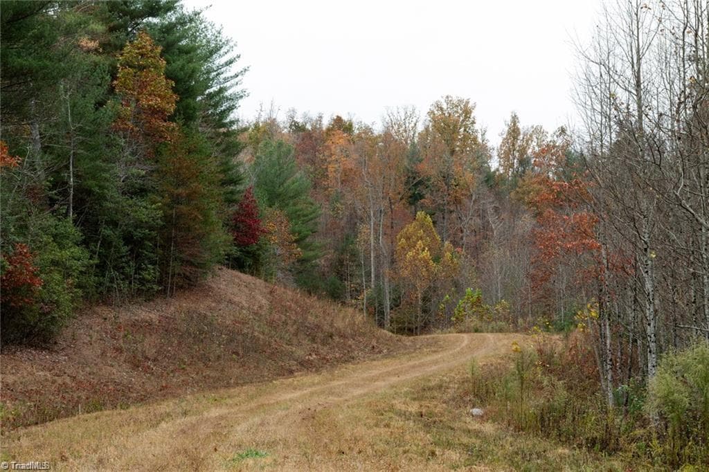 Unimproved Land at 0 TBD US Highway 421, Ferguson NC 28624, photo 6 of 42