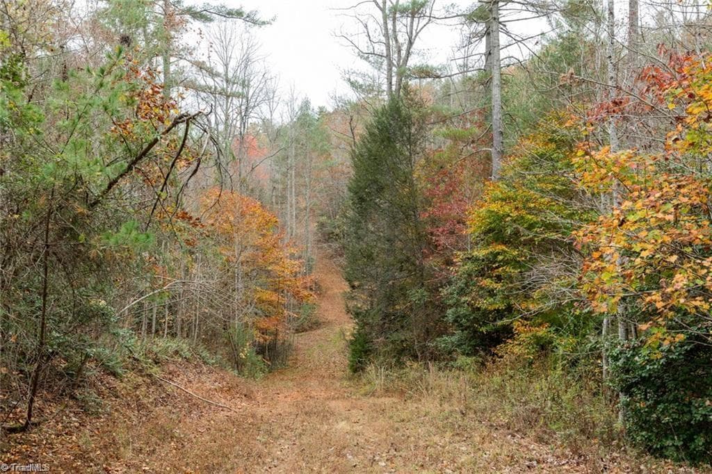 Unimproved Land at 0 TBD US Highway 421, Ferguson NC 28624, photo 13 of 42