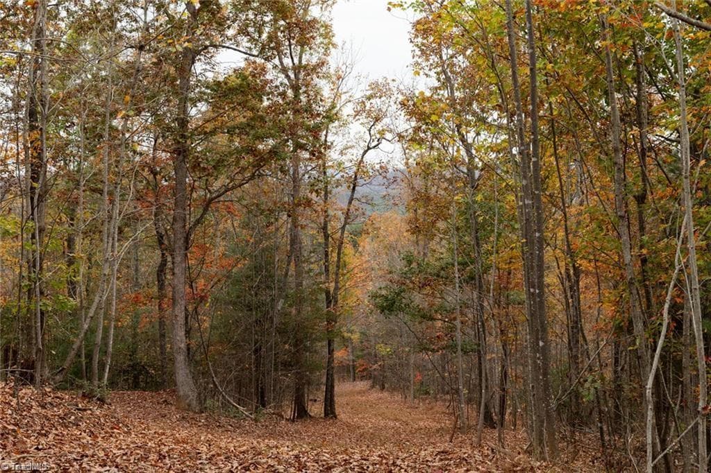 Unimproved Land at 0 TBD US Highway 421, Ferguson NC 28624, photo 17 of 42